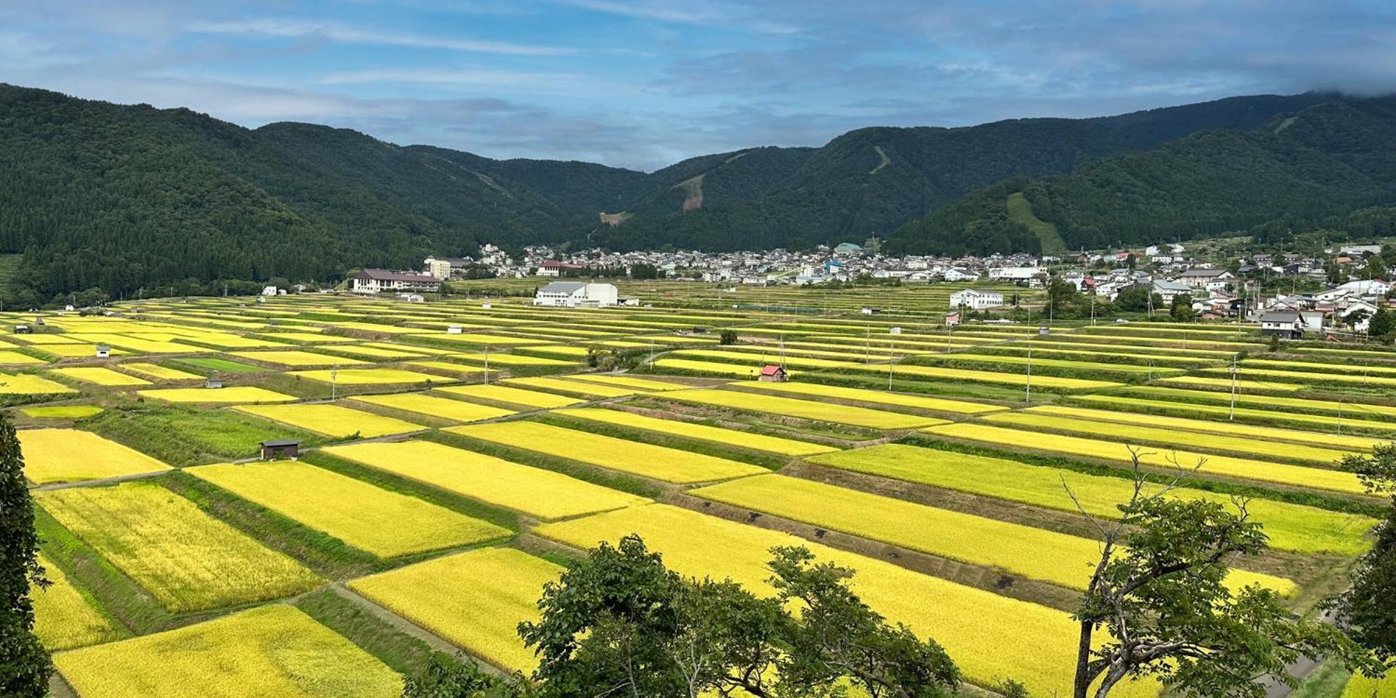 Pearl Yoshigoe Hotel Nozawaonsen Ngoại thất bức ảnh